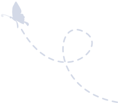 Line Butterfly